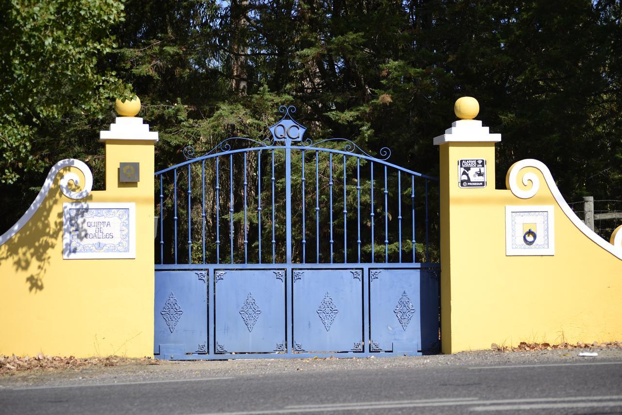 Quinta De Coalhos Th Villa Abrantes Dış mekan fotoğraf