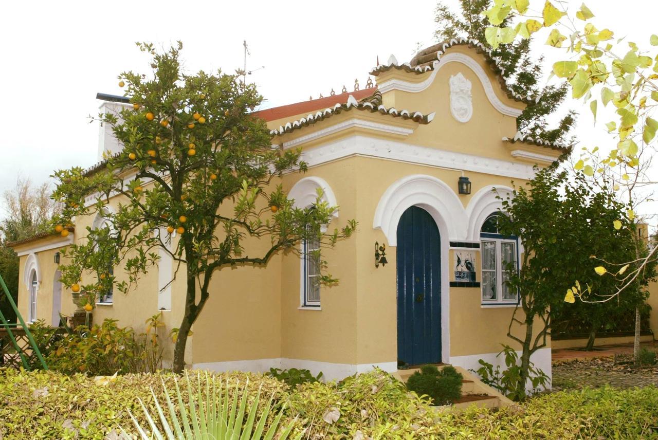 Quinta De Coalhos Th Villa Abrantes Dış mekan fotoğraf